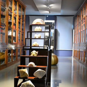 musée Médard à Lunel